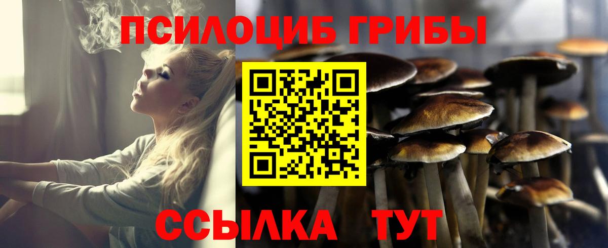 Галлюциногенные грибы прущие грибы Кулебаки